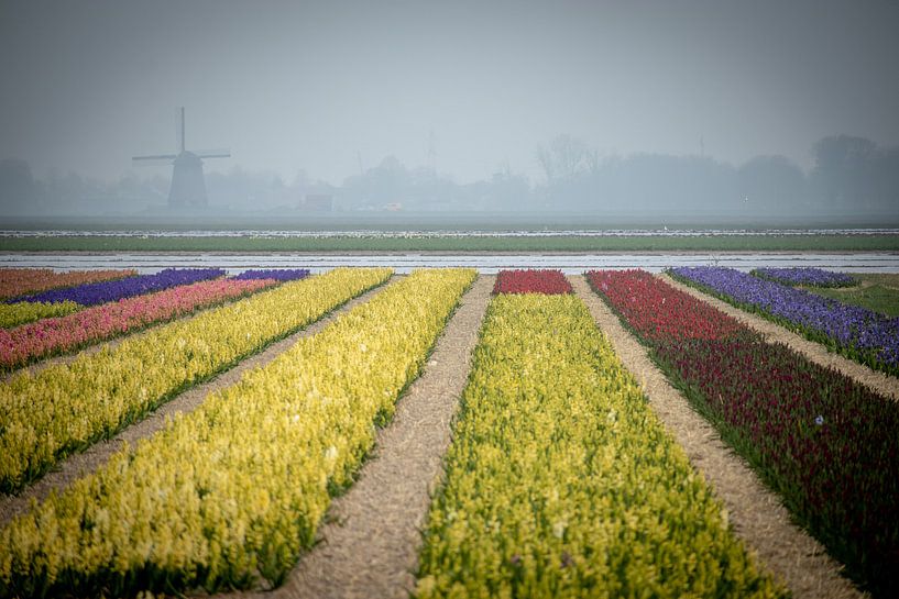 Poldermolen E in de mist by peterheinspictures