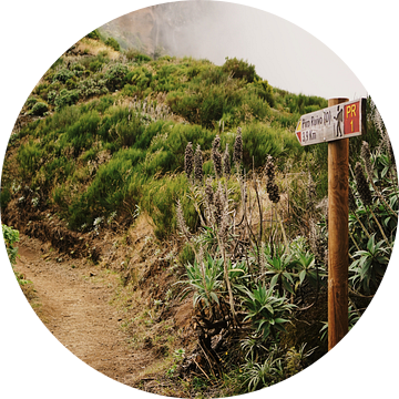 Bergwandelroute op hoogste berg Madeira van Dian Schuurkamp