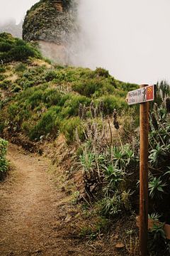 Mountain hiking trail on Madeira's highest mountain