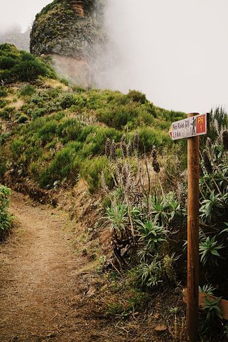 Randonnée en montagne sur le plus haut sommet de Madère sur Dian Schuurkamp