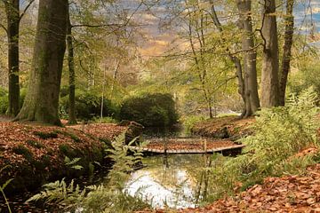 pont dans le parc, domaines, domaine de Braak sur M. B. fotografie