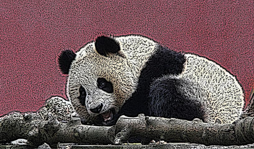Giant Panda by Jose Lok