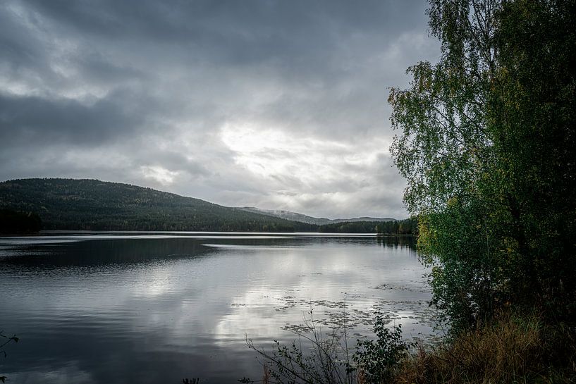 See in Südnorwegen an einem dunklen Tag von Mickéle Godderis