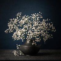 Still life with plasterwort