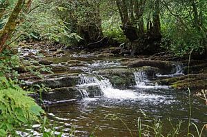 Fowley's Falls in Irland
