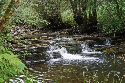 Fowley's Falls in Ierland