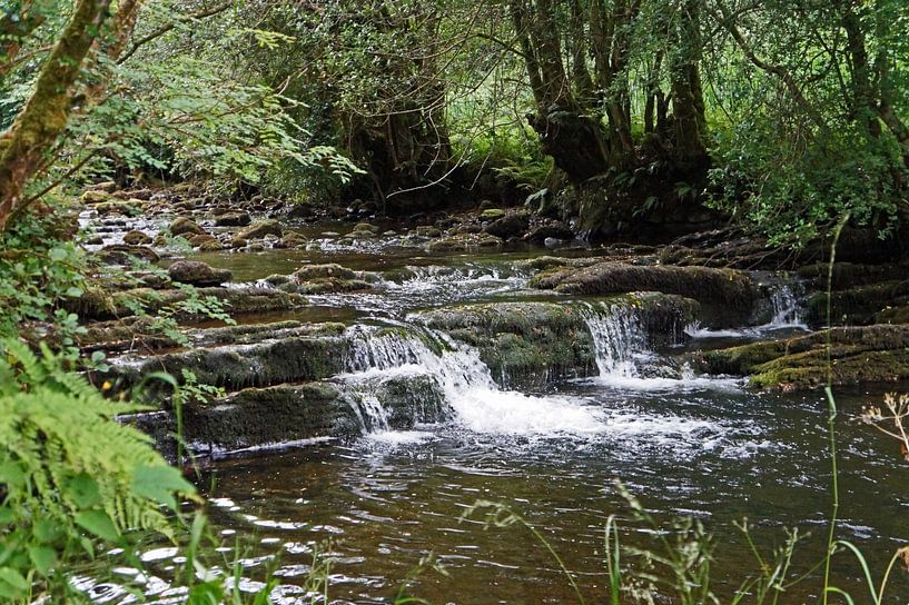 Fowley's Falls in Ireland by Babetts Bildergalerie