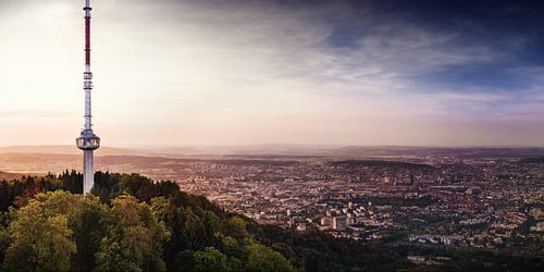 Zurich / Uetliberg by Severin Pomsel