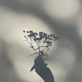 Schattenspiel 04 von Floortje Louise