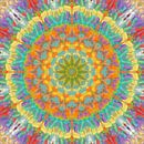 Mandala Style 83 van Marion Tenbergen thumbnail