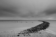 Houtribdijk Schwarzer und weißer Rest. von Danny Leij Miniaturansicht
