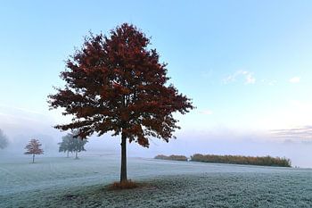 Blue hour bij Slingeplas Bredevoort