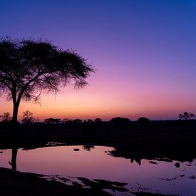 Zonsondergang in Afrika van Omega Fotografie