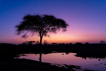 Sonnenuntergang in Afrika von Omega Fotografie