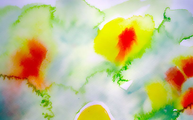 sound o fspring by M.A. Ziehr