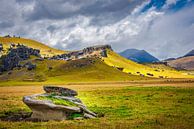 Rocks at Castle Hill, New Zealand by Rietje Bulthuis thumbnail