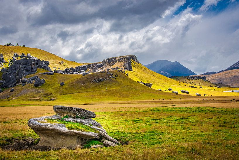Rocks at Castle Hill, New Zealand by Rietje Bulthuis
