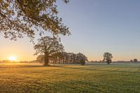 A morning in November