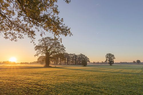 A morning in November by Jaap Tempelman