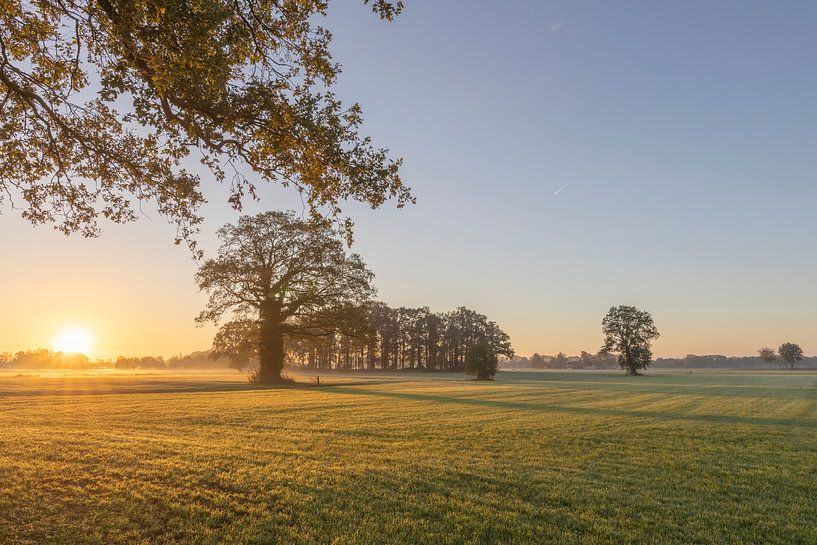 Ein Morgen im November von Jaap Tempelman