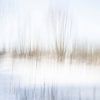 Retour à l'hiver - ICM 1 sur Danny Budts