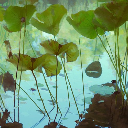 Verse lotus