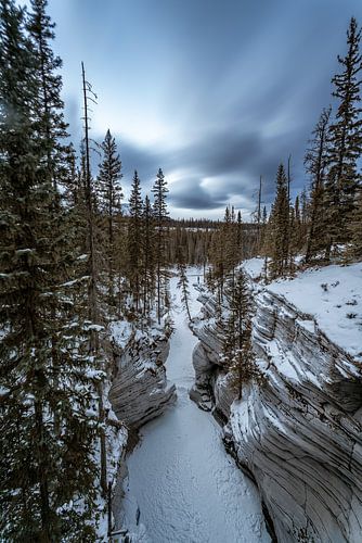 Athabasca falls