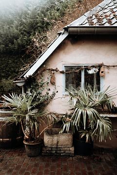 Botanical green art print | Front house with plants van Linn Fotografie
