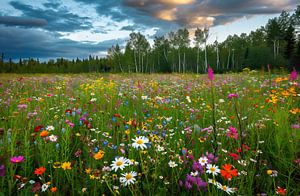 Traumhafte Landschaft