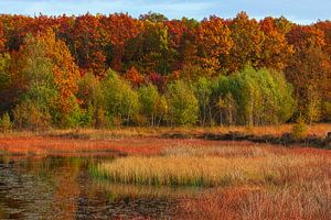 Herfst in Drenthe van Henk Meijer Photography