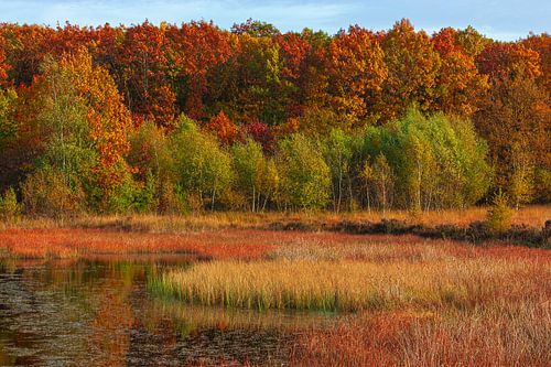 Herfst in Drenthe