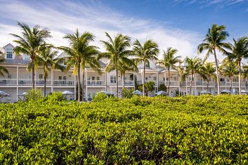 Key West von Tim Lee Williams