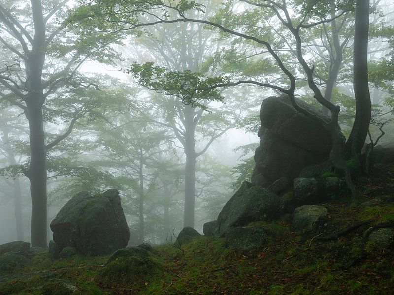 Schlafender Riese von Anselm Ziegler Photography