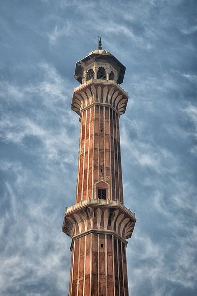 The colours of India by Sasja Michalski