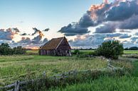 Coucher de soleil à Texel Poulailler Den Hoorn par Texel360Fotografie Richard Heerschap Aperçu