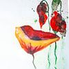3 Mohnblumen von Klaus Heidecker