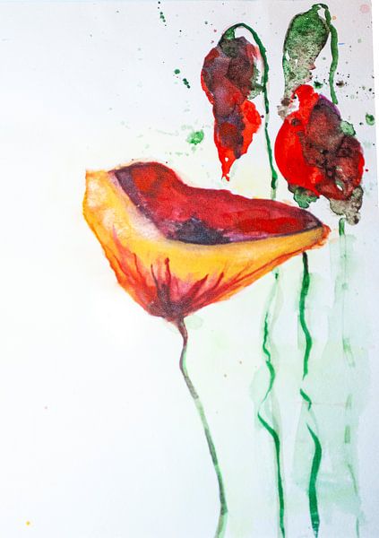 3 Poppies by Klaus Heidecker