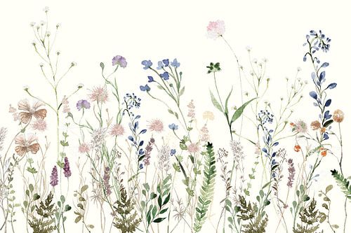 Wildflower Meadow Summer Creme
