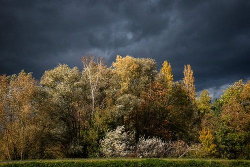 Couleurs d'automne au soleil