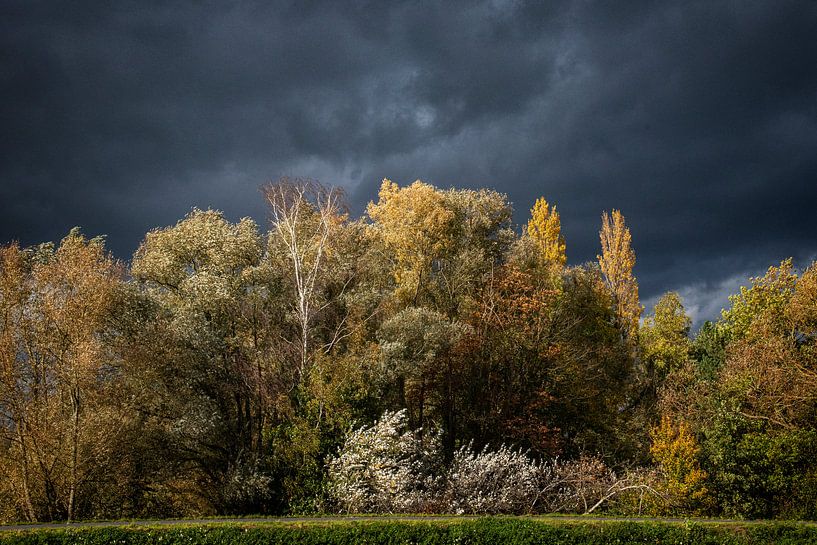 Autumn colours in sunlight by jacky weckx