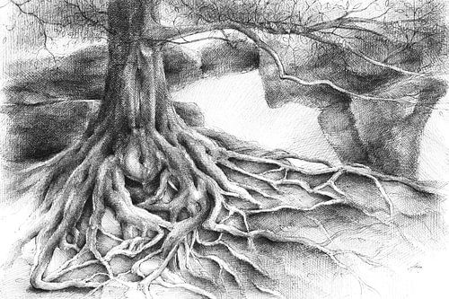 Wurzel und Felsentor aus Sandstein von Adriana Müller