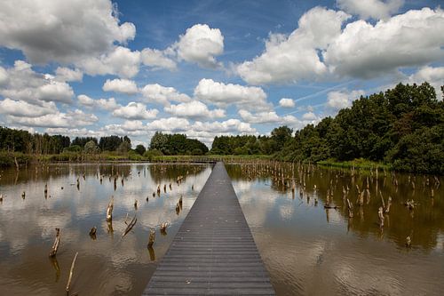 Wolken luchten