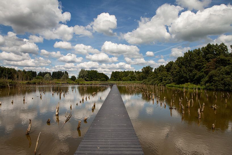Clouds skies by Peter Haastrecht, van