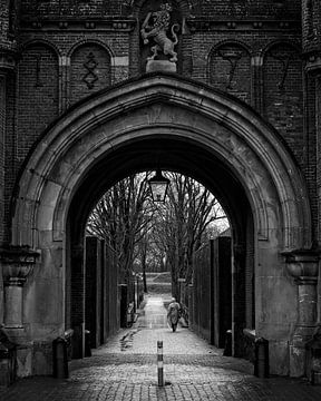 Utrechtse poort Naarden van Ruud van der Nat