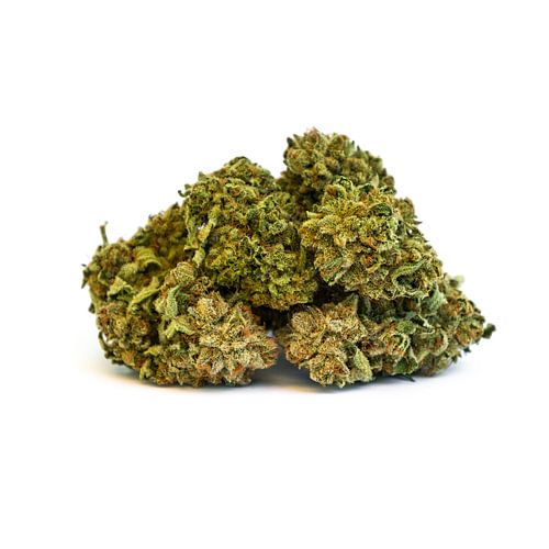 Cannabis onkruidmarijuana bloesem