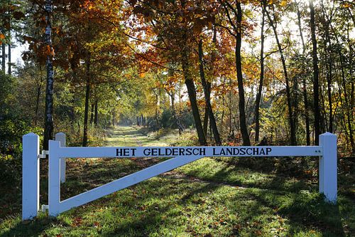 Het Geldersch landschap