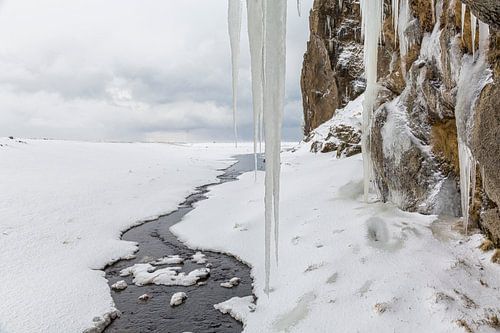 IJspegels aan de Skogar rivier in IJsland