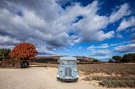 Oldtimer in French landscape by Rosanne Langenberg thumbnail