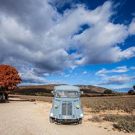 Oldtimer Citroën Typ H in Südfrankreich von Rosanne Langenberg