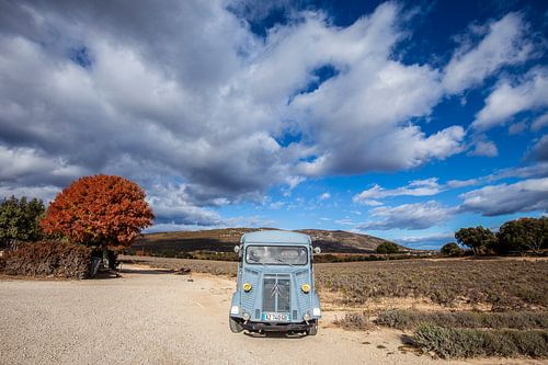 Oldtimer dans un paysage français sur Rosanne Langenberg